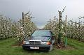 MG Bloesemrit op 24-4-2016 org. Jos&Marie-lou  (276)